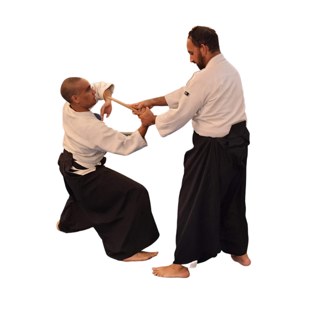 Technique d'aïkido à deux pratiquants